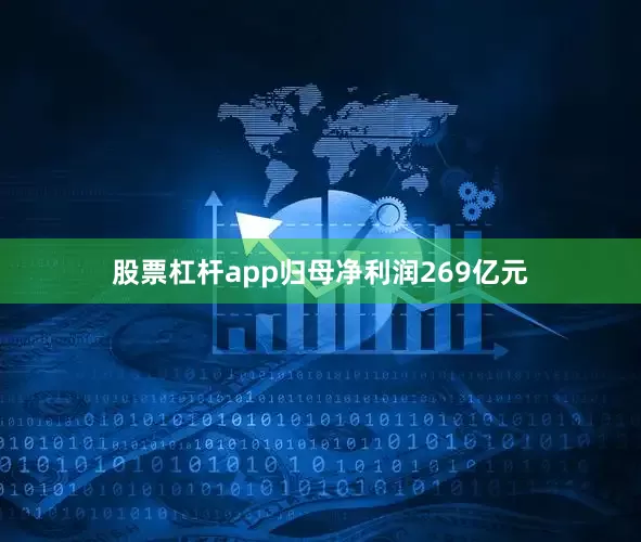 股票杠杆app归母净利润269亿元