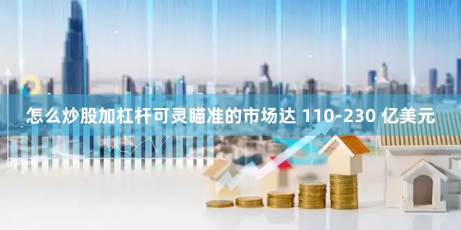 怎么炒股加杠杆可灵瞄准的市场达 110-230 亿美元